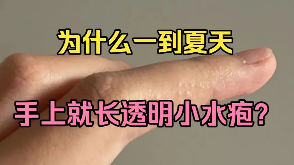 每日积累案例截图