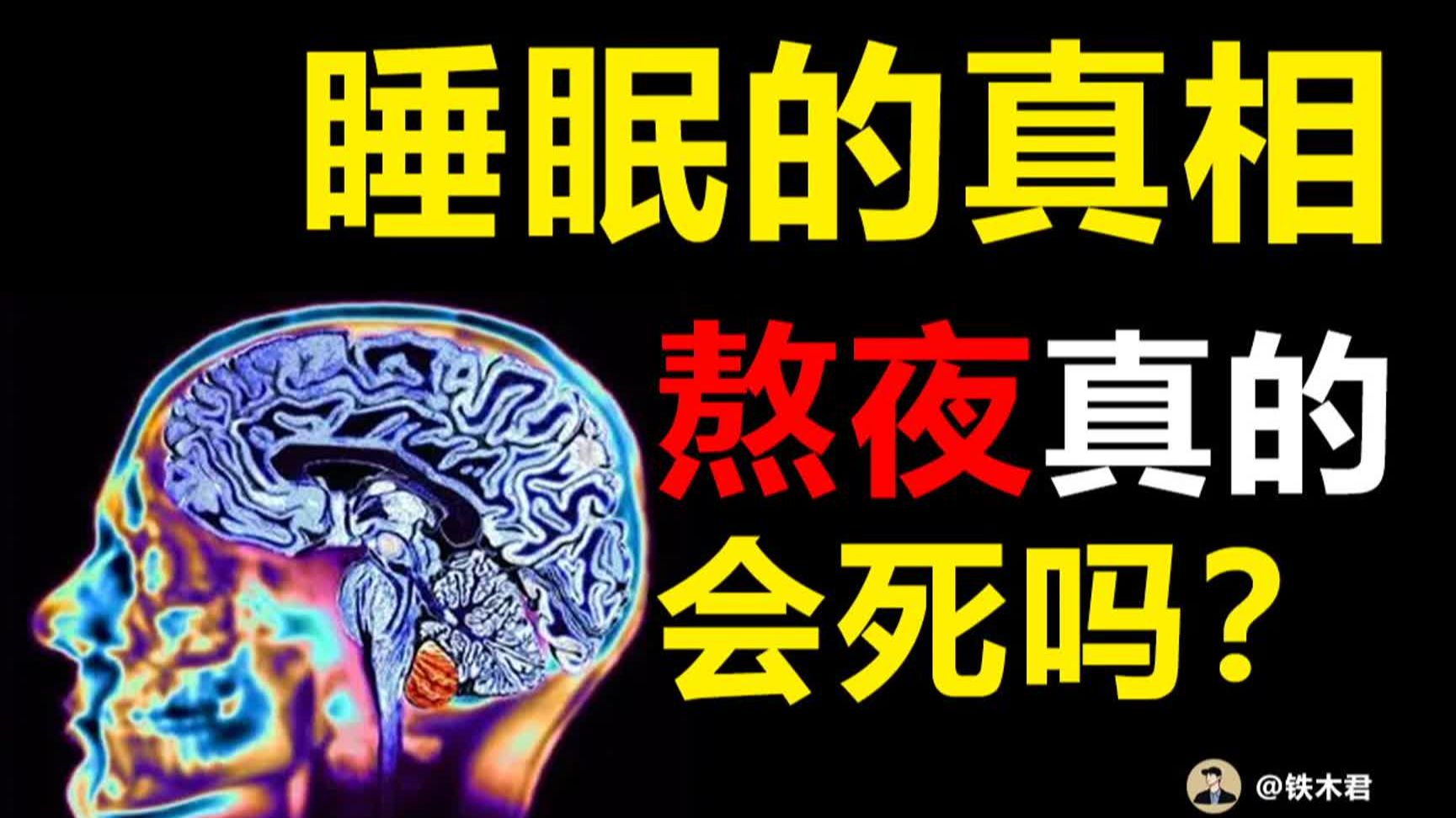 脑洞科普探索案例截图